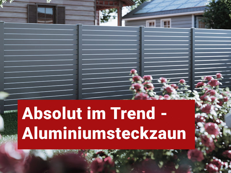 sl_01-2.jpg?ts=1725440226